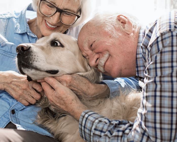 Geriatric Veterinarian in Corpus Christi