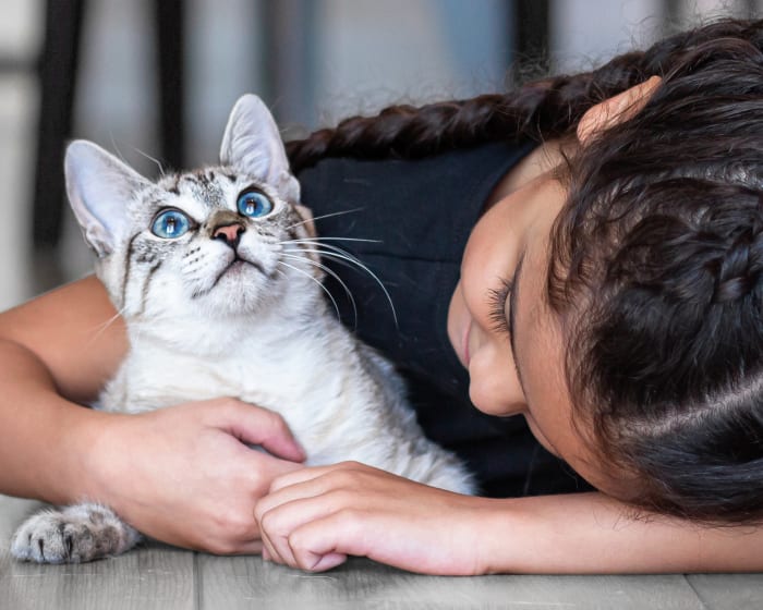 Puppies & Kittens, Corpus Christi Veterinarians